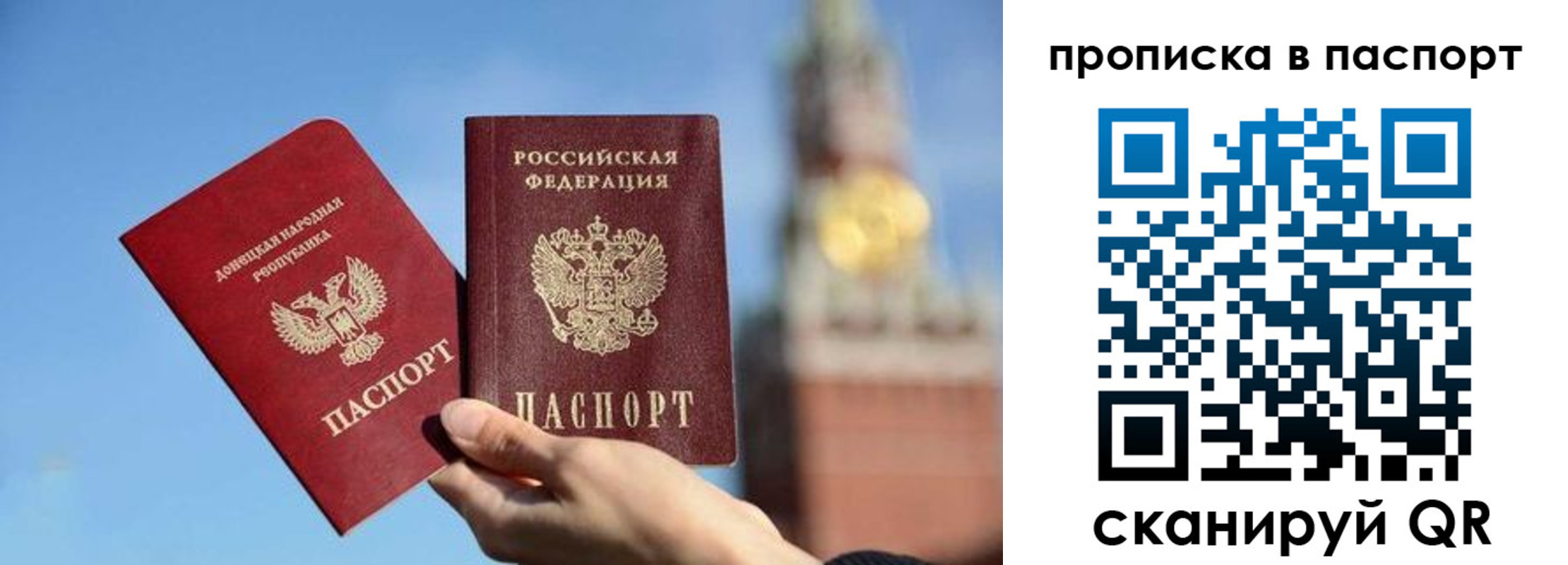 прописка ребенка в Пионерском